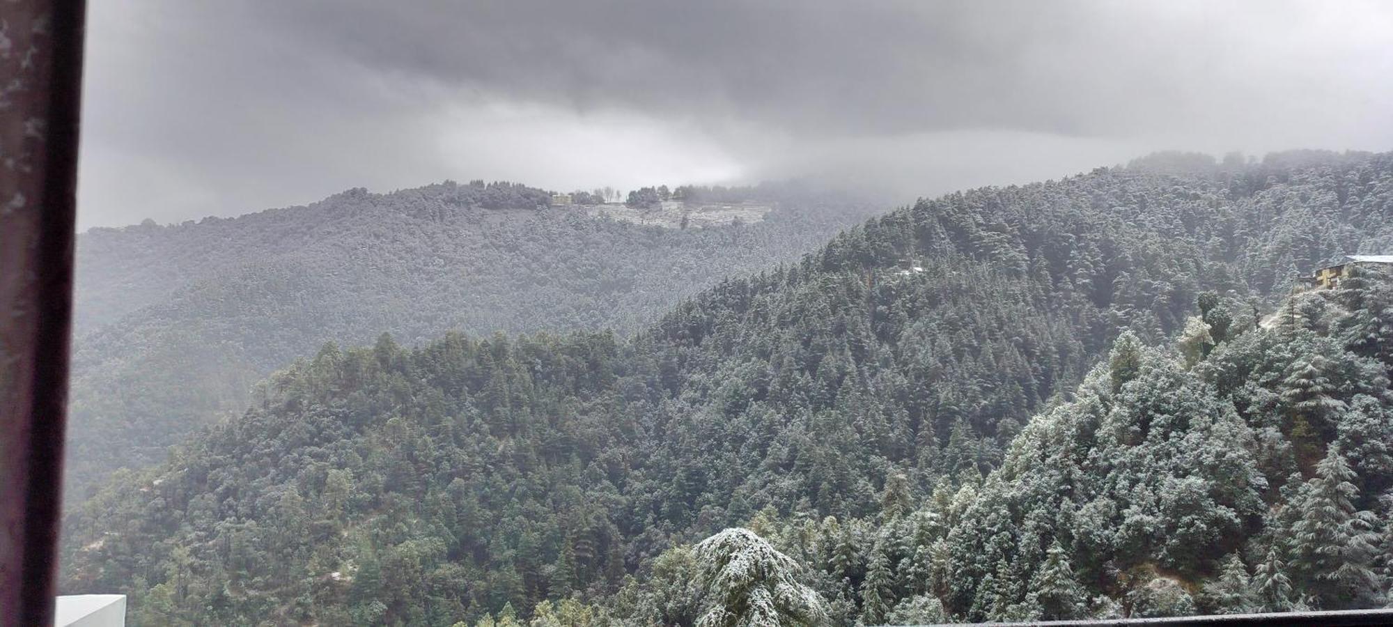Summer Hill Resort Chail Exteriör bild