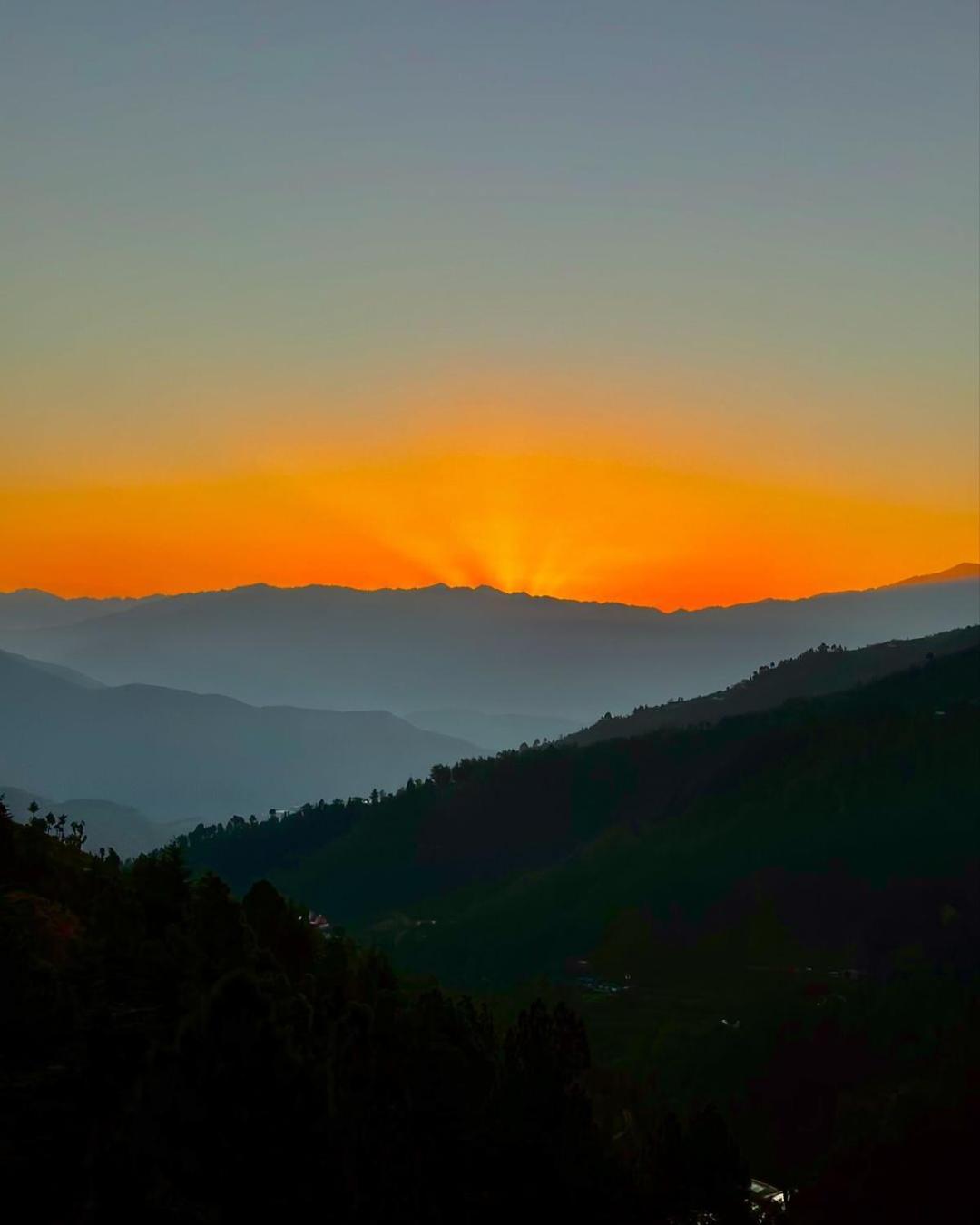 Summer Hill Resort Chail Exteriör bild